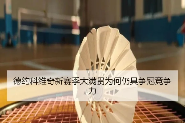 德约科维奇新赛季大满贯为何仍具争冠竞争力